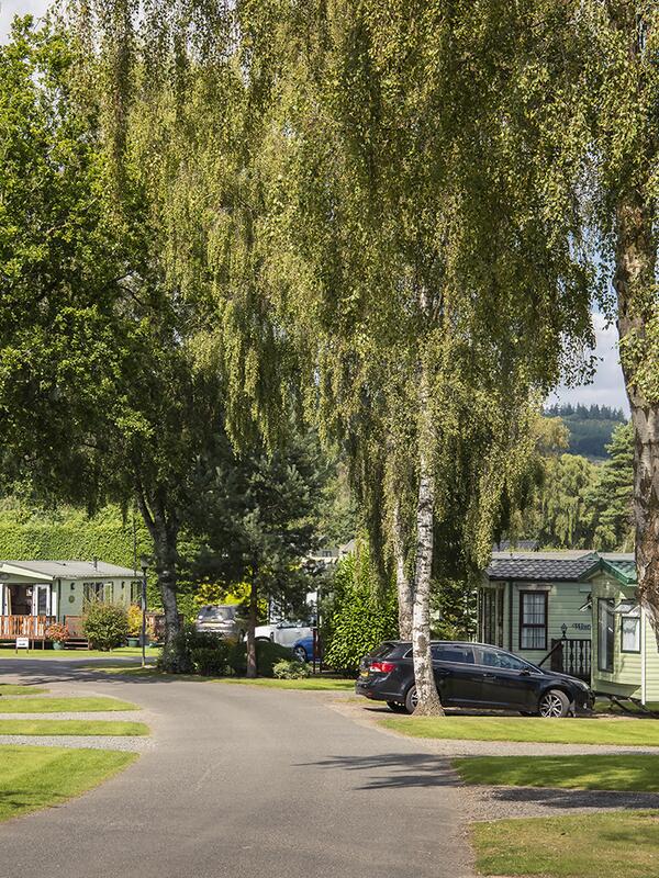 Atlas Status for sale at Pearl Lake - general park photo