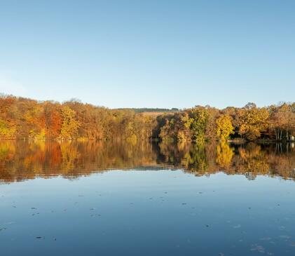 Spectacular autumn colours at Pearl Lake