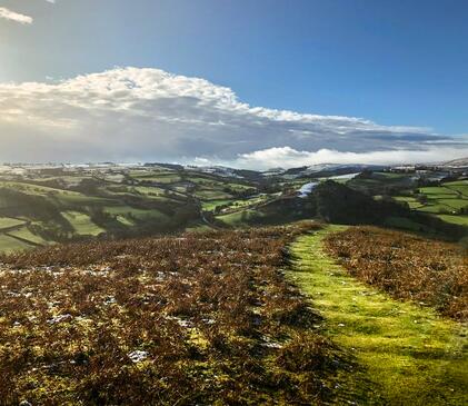 Walking on Hergest Ridge, Kington