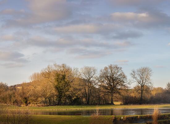 Jennifer's Pool at Arrow Bank