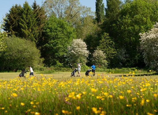 5 star caravan holiday home park with golf course, Pearl Lake, Herefordshire.