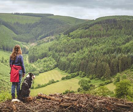 dog friendly holiday park in Wales