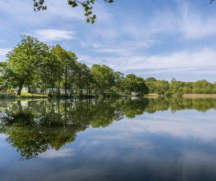 Fishing lake 5 star static caravan park photo