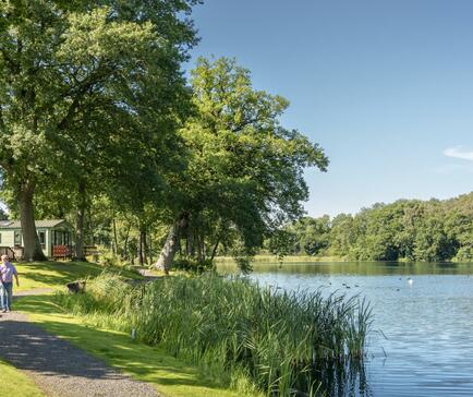 Dog friendly caravan park at Pearl Lake, Herefordshire