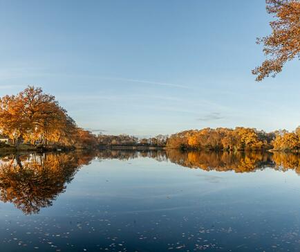 Spectacular autumn morning at Pearl Lake