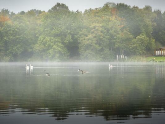 Mist on the lake - October morning at Pearl Lake photo