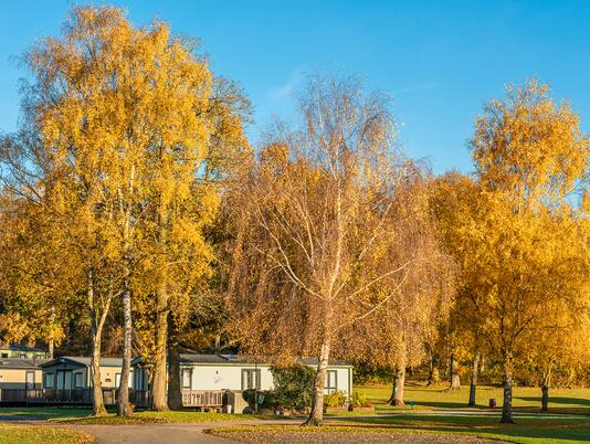 Autumn morning at Pearl Lake