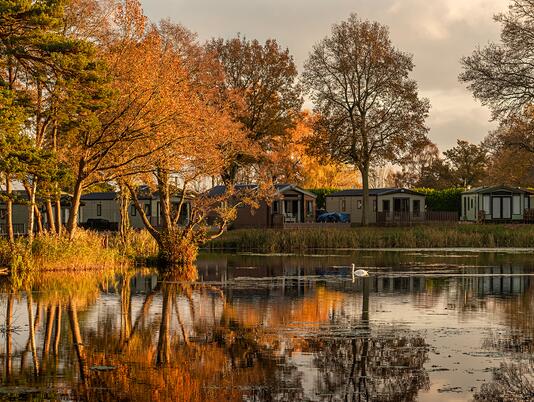 Golden hour at Pearl Lake