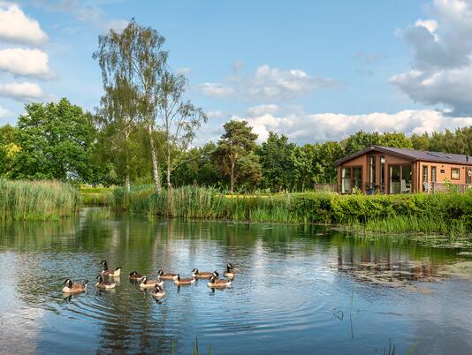 Herefordshire lake edge holiday homes for sale