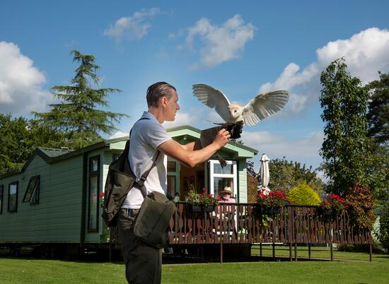 Static caravans for sale on site 5 star park photo