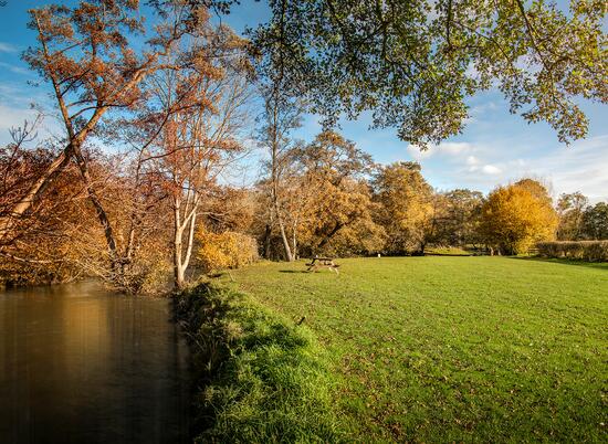 Riverside camping ground at Rockbridge Park