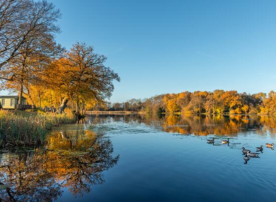 Autumn morning at Pearl Lake