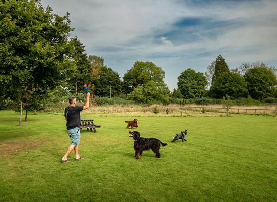 Dog friendly caravan park at Arrow Bank, Herefordshire