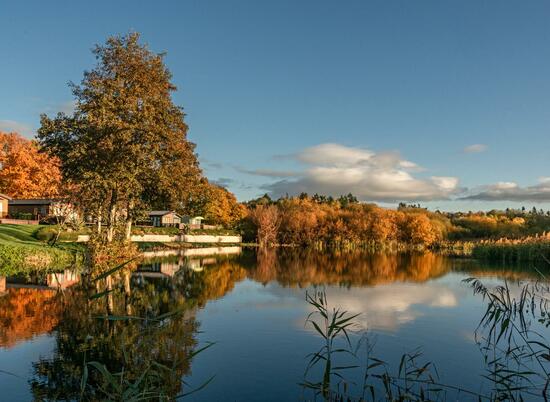 Autumn sunrise at Park Pool, Pearl Lake Country Holiday Park