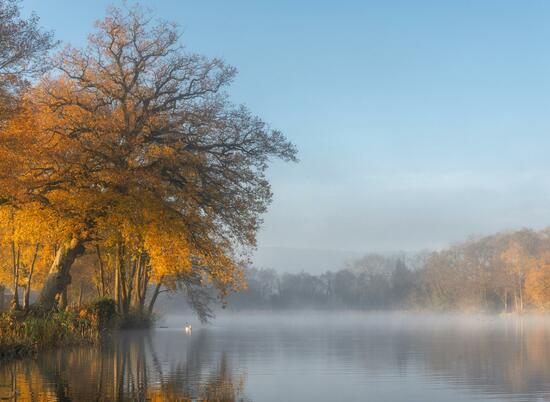 Spectacular winter colours reflected at Pearl Lake