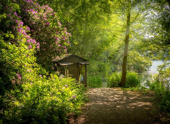 Nature hide in woodland at Pearl Lake Country Holiday Park