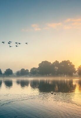 Misty Autumn sunrise over Pearl Lake