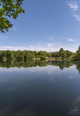 5 star holiday park with fishing lake photo