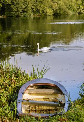 Pearl Lake morning photo