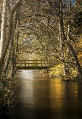 River Lugg running through the park at Rockbridge