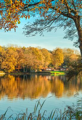 Autumn morning at Pearl Lake