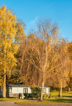 Autumn morning at Pearl Lake