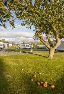 5 star touring site herefordshire