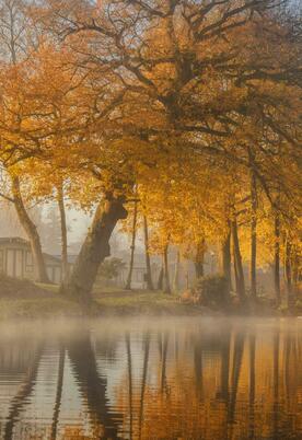 Spectacular winter colours reflected at Pearl Lake