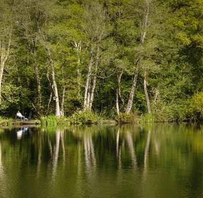 Peaceful fishing at Pearl Lake. Woodland Peg