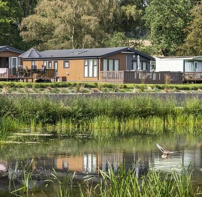 Luxury lodges overlooking the lake at Pearl Lake, Herefordshire