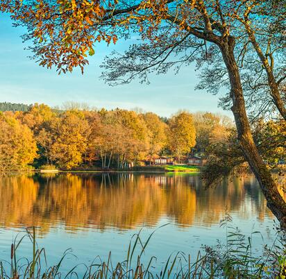 Autumn morning at Pearl Lake