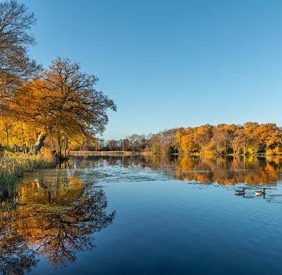 Autumn morning at Pearl Lake