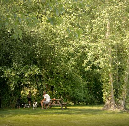 Riverside holiday park in Herefordshire