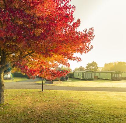 5 star holiday park Herefordshire Arrow Bank