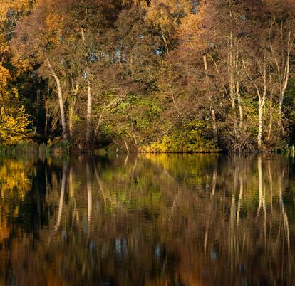 Spectacular autumn colours at Pearl Lake