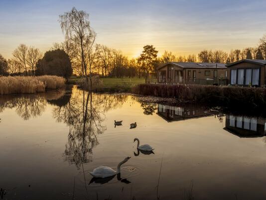 Lake sunrise photo over holiday lodges caravans