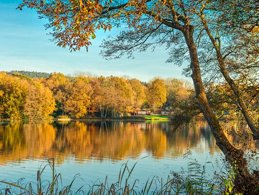 Autumn morning at Pearl Lake