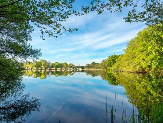 5 star caravan holiday home park with fishing in Herefordshire