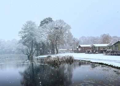 Winter holiday park protection. Park in the snow photo