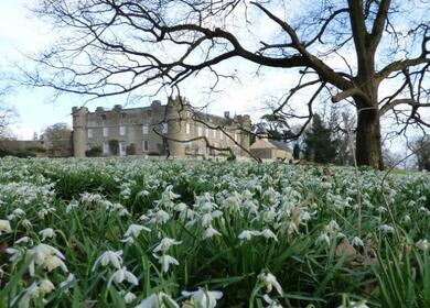 Croft Castle & Gardens