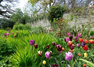 Croft Castle & Gardens