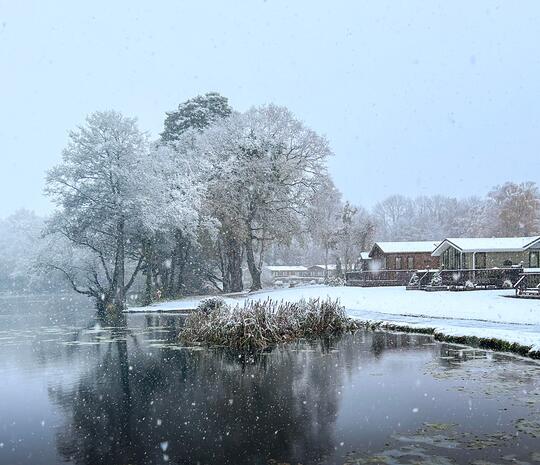 Winter holiday park protection. Park in the snow photo