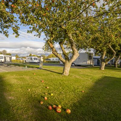 Seasonal touring pitches 5 star caravan park Herefordshire